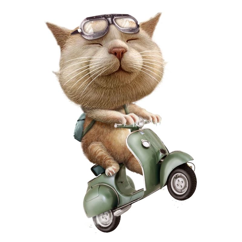 RUNAWAY CAT