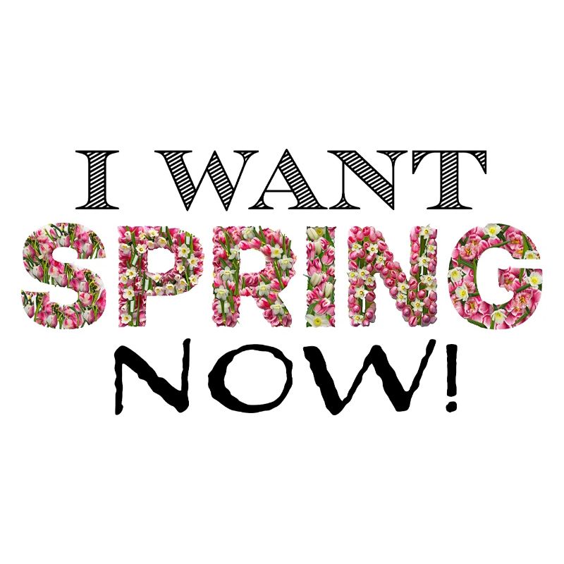 spring now sw