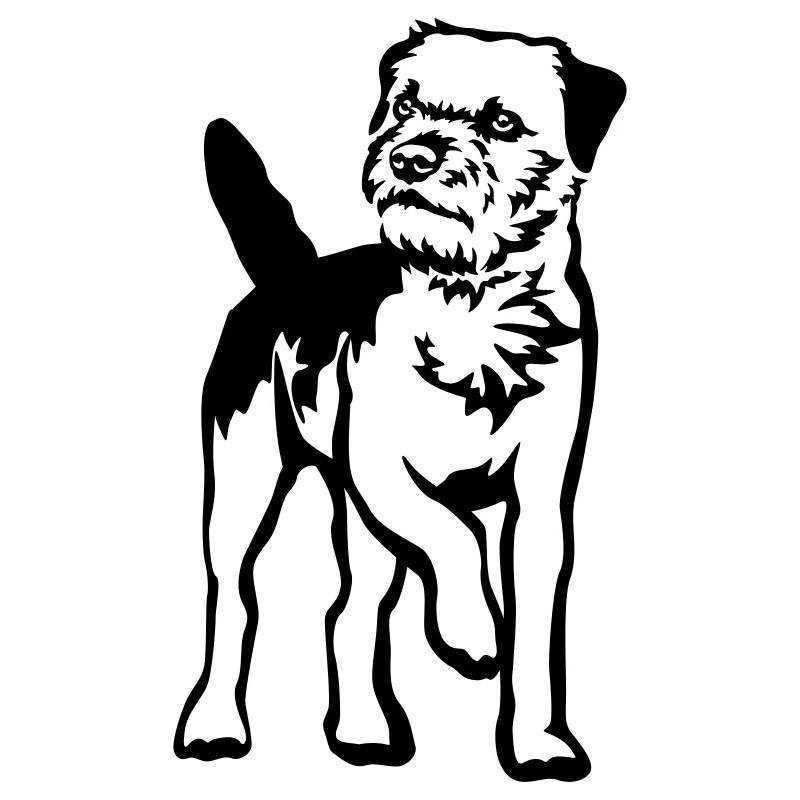 Border Terriers