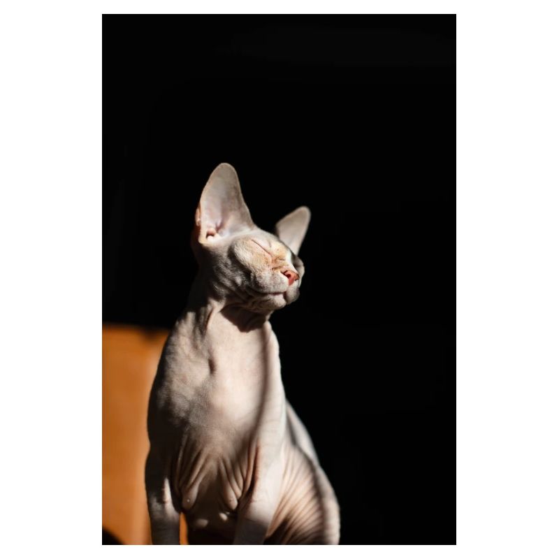 erin agius 3QCjHVr0l5I unsplash