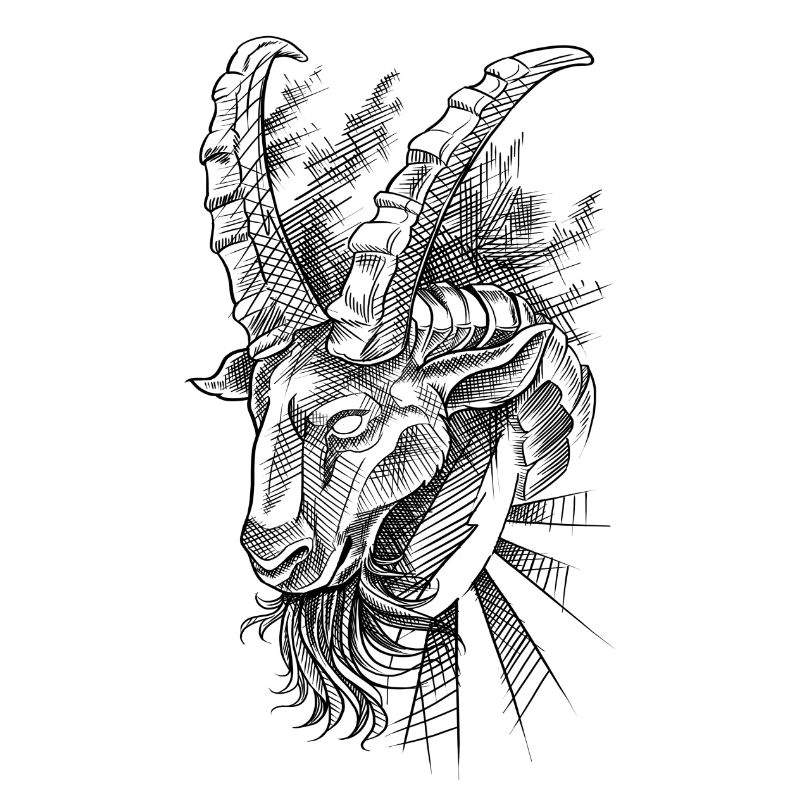 Steinbock Modern Style