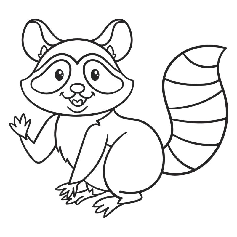 Waschbär, Waschbären, Geschenk, Geschenkidee