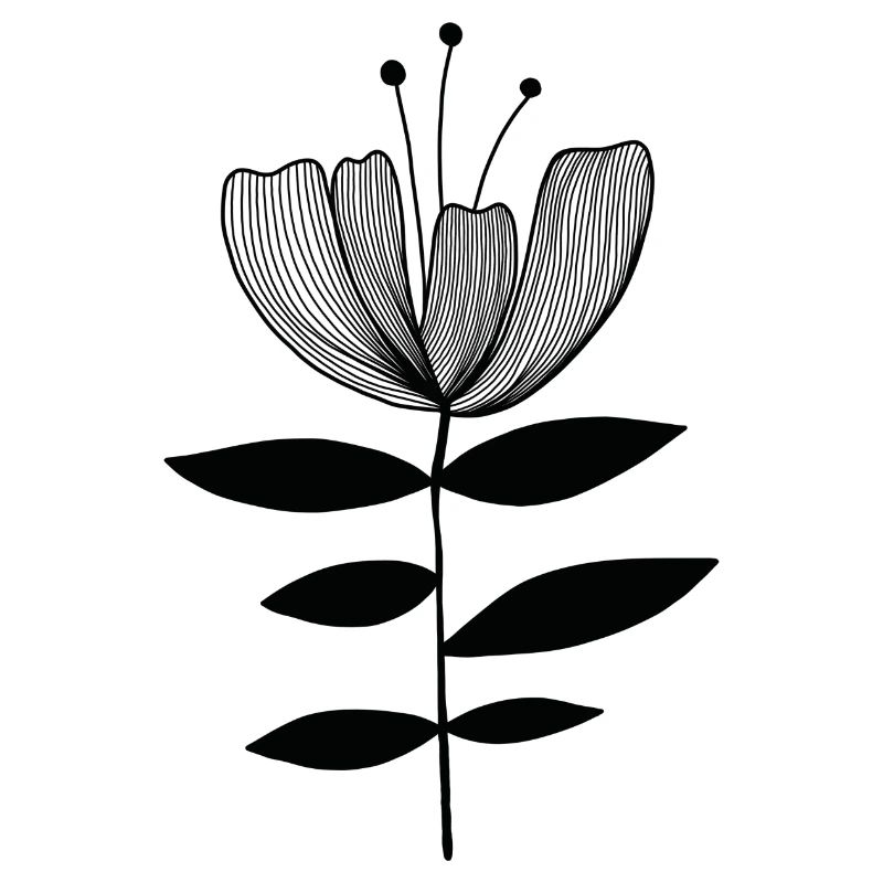 Tulpe