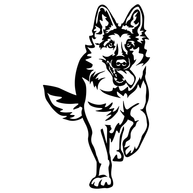 German Shepherd