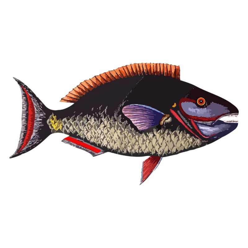 fish