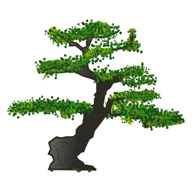 bonsai