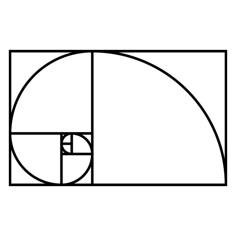 Fibonacci spiral math gift idea nerd