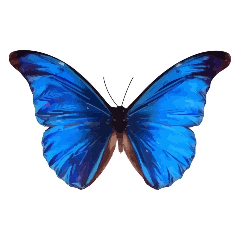 butterfly 4 (Malerei)