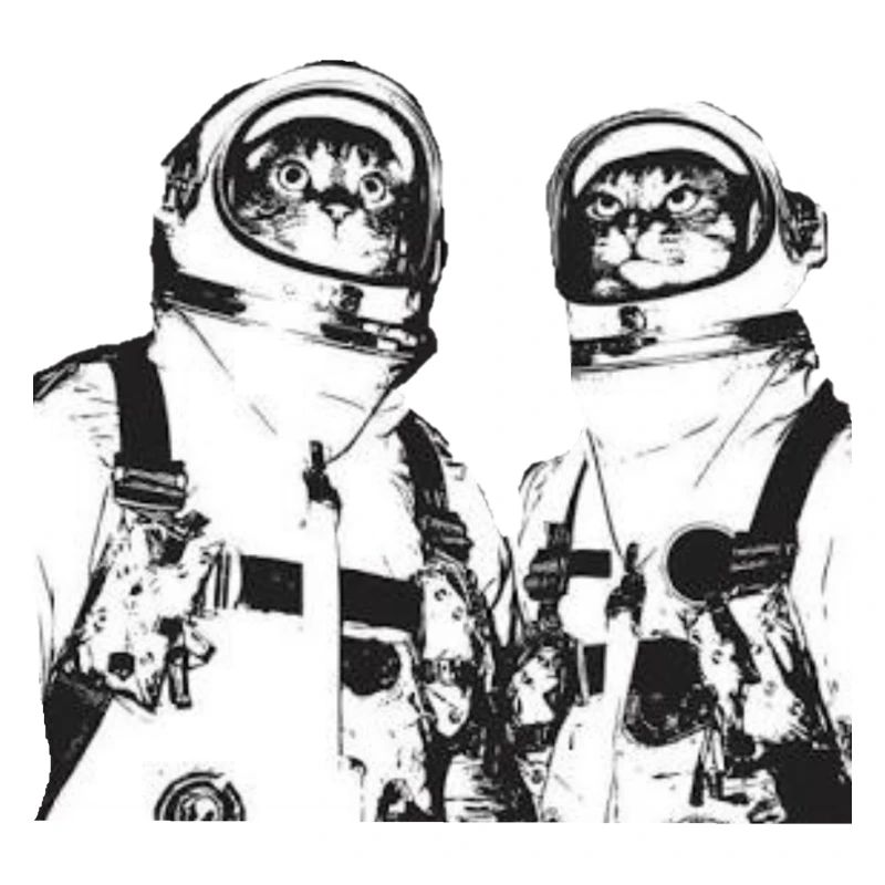 Space Cats