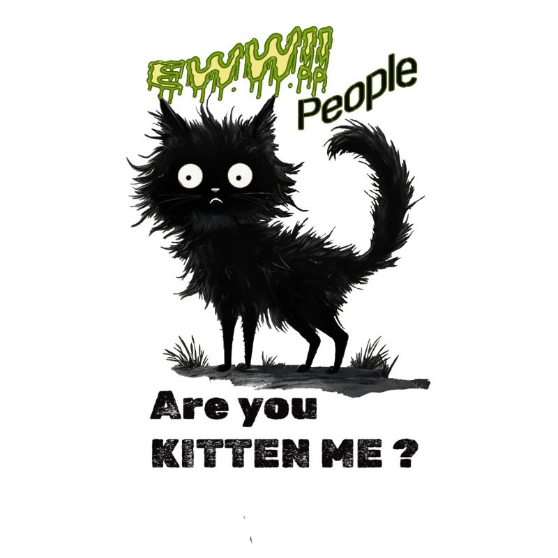 Whimsical Black Cat