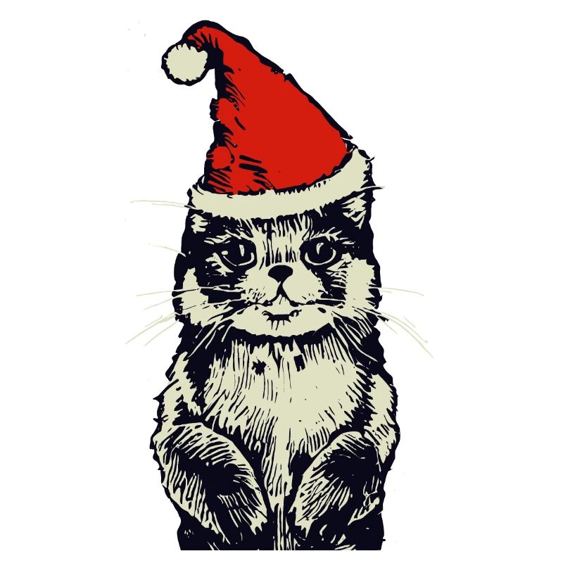 Cat with Christmas hat