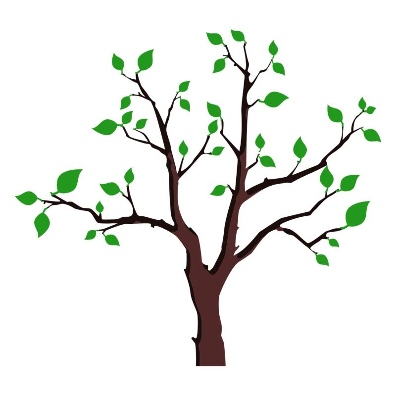 Baum