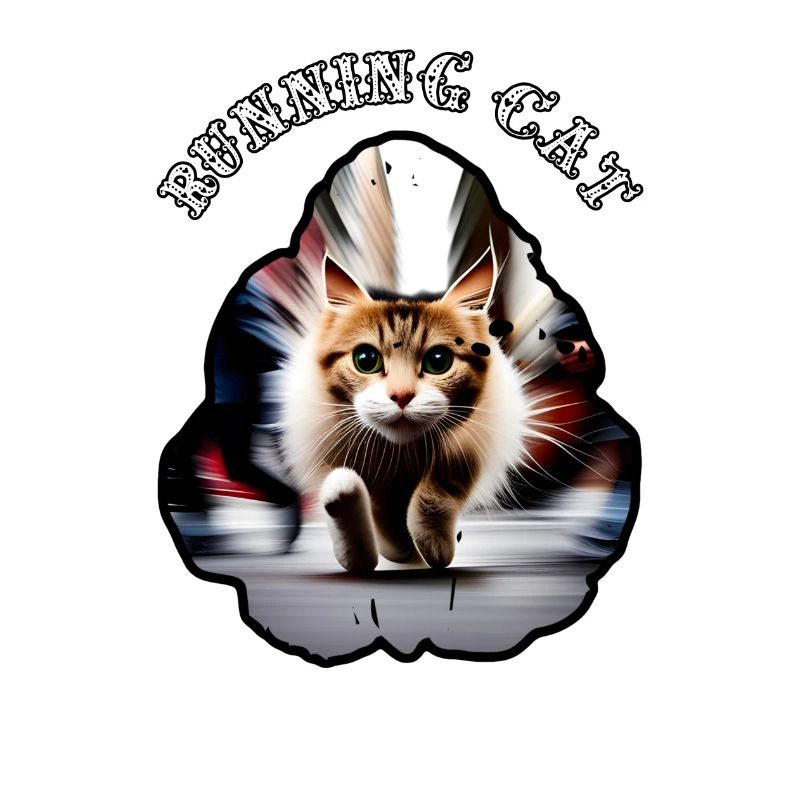 Chat en cours d’exécution 9