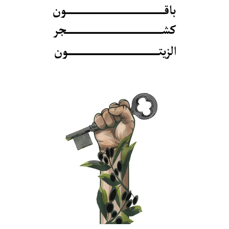 Solid like Oliven trees