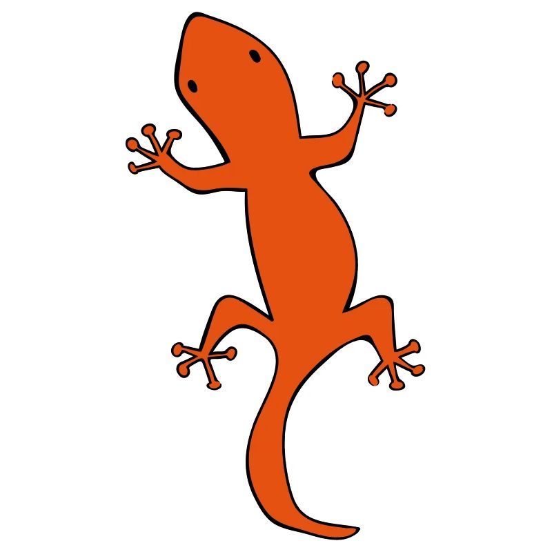 salamander