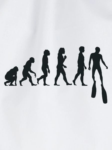 Freitauchen Evolution Apnoetaucher Freitaucher
