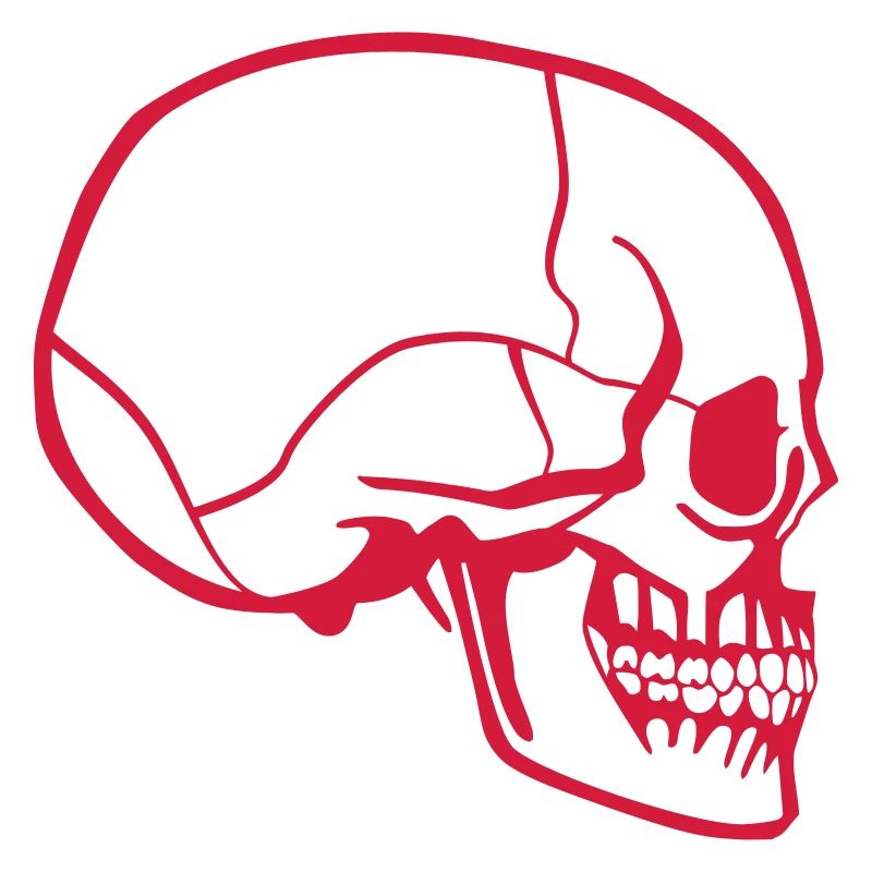 skull on the side