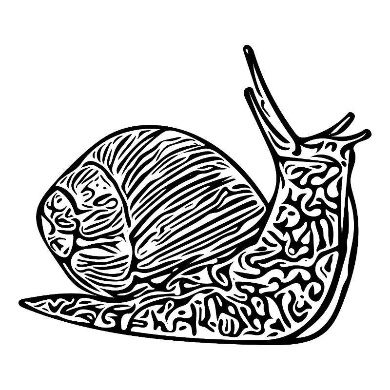 Cute Snail with House