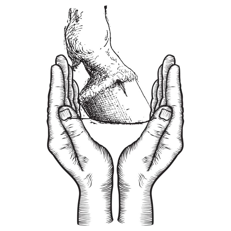 Pferdehuf Hand