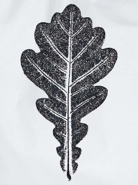 Eichenblatt / Botanischer Blätter - Abdruck