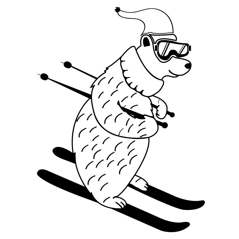 ski baer 01