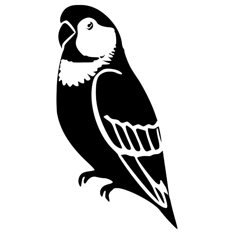 Parrots Bird Geshenk