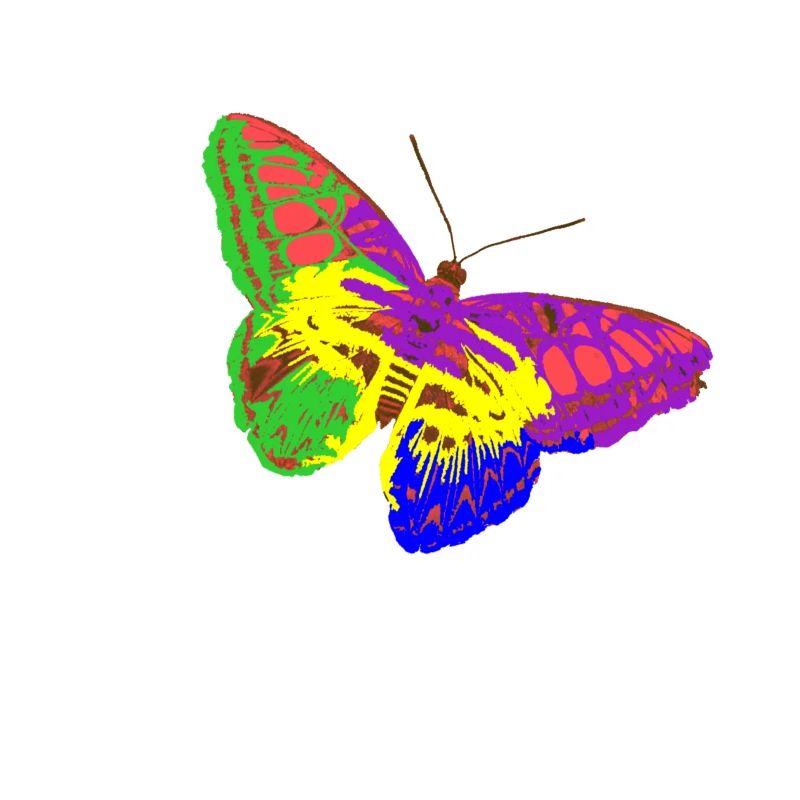 Rainbow Butterfly