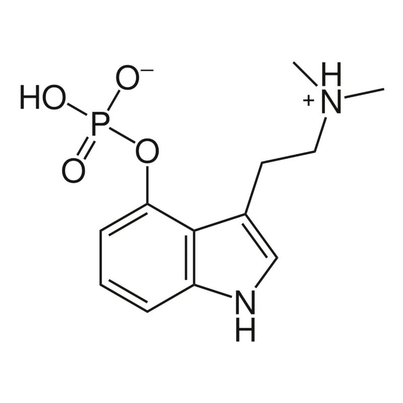 Psylocibine Drogue