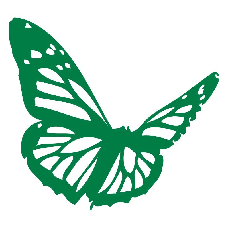 papillon_vert