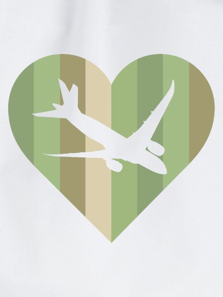 Aerospace Aerospace Engineering Flieger