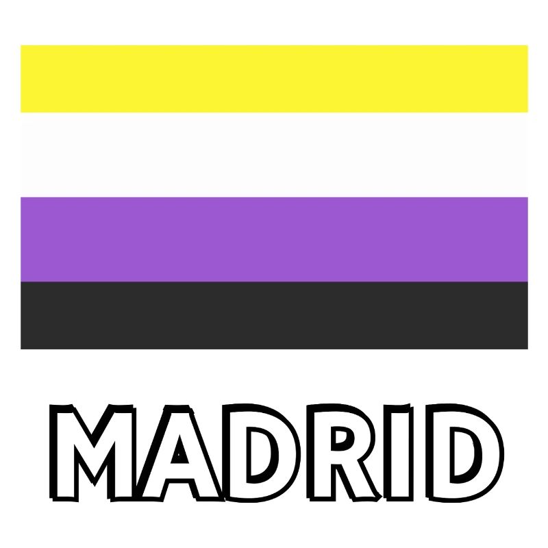 Non binary Pride Flag Madrid