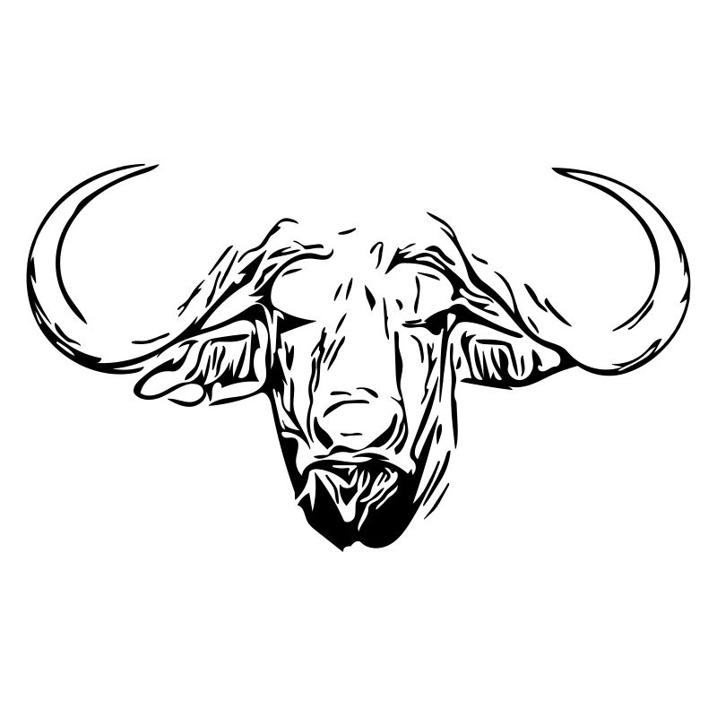Water Buffalo Head
