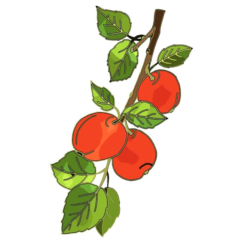 Äpfel