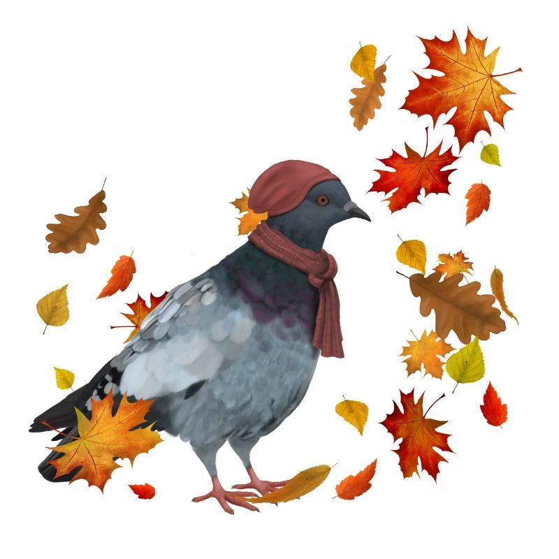 Taube im Herbst mit Blättern