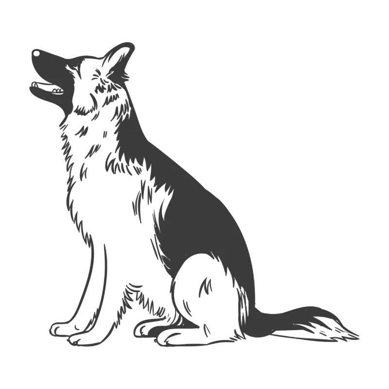 Deutscher Schäferhund