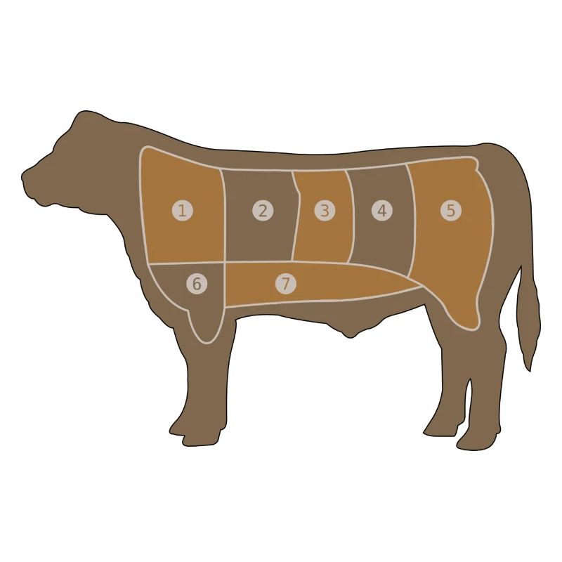 Fleisch Chart