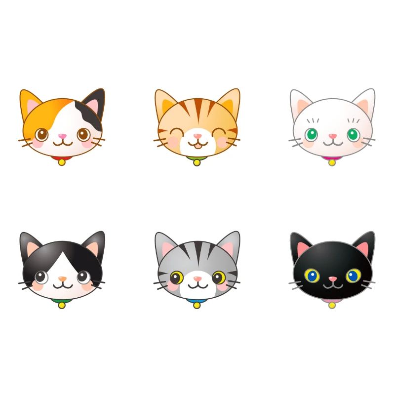 chats