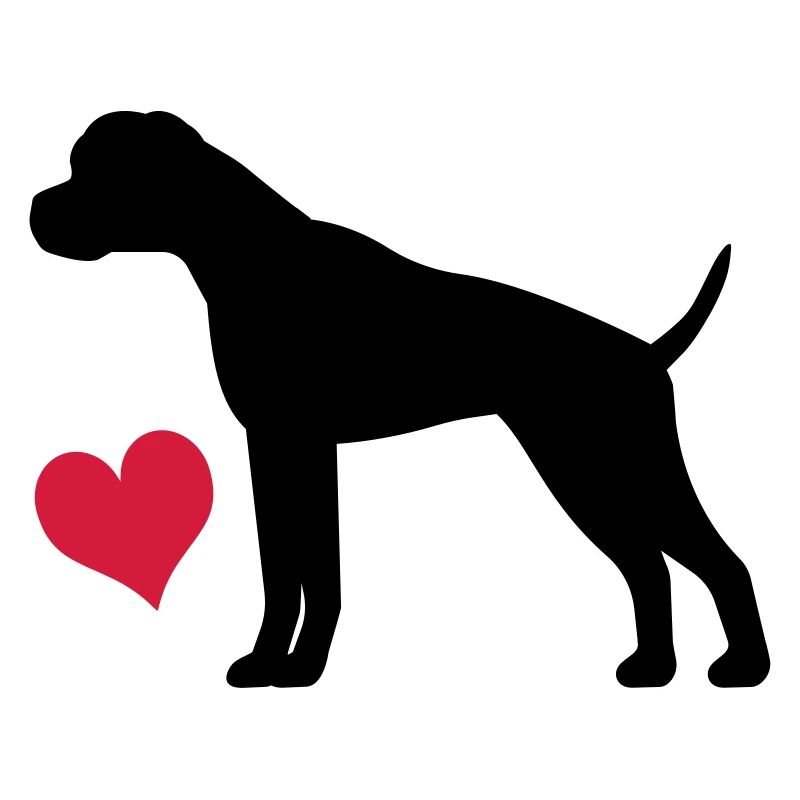 boxer