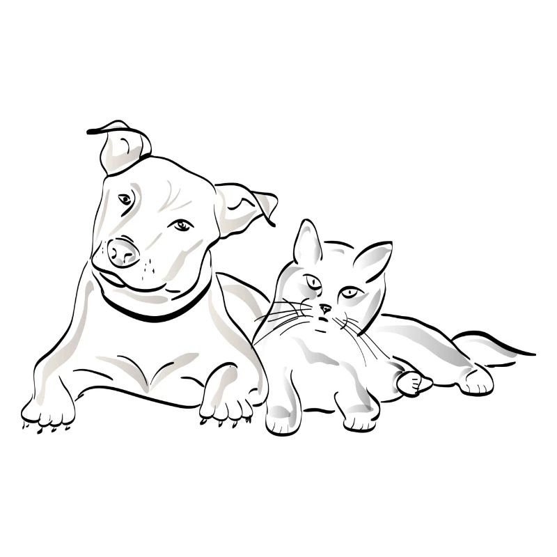 Cat Dog