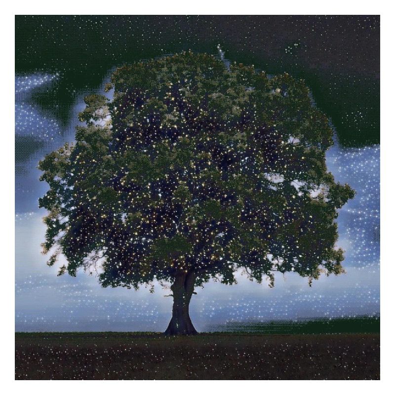 Sternenhimmel Baum