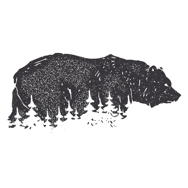 Bär im Wald