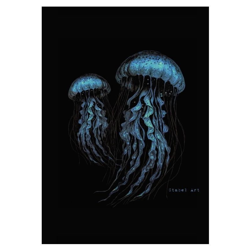 Quallen - Jellyfish
