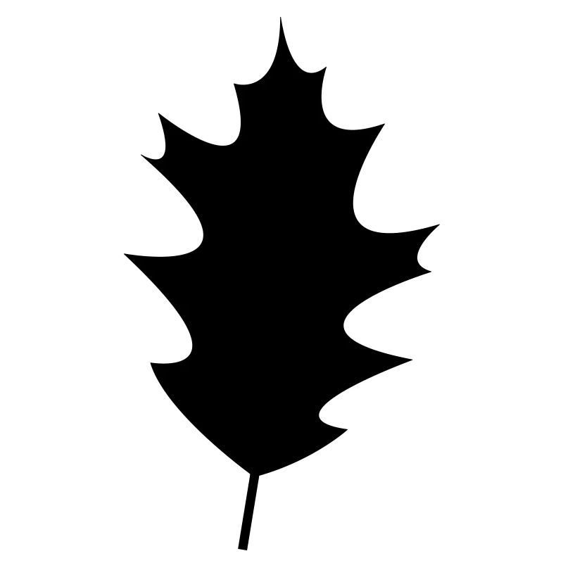 Leaf 15