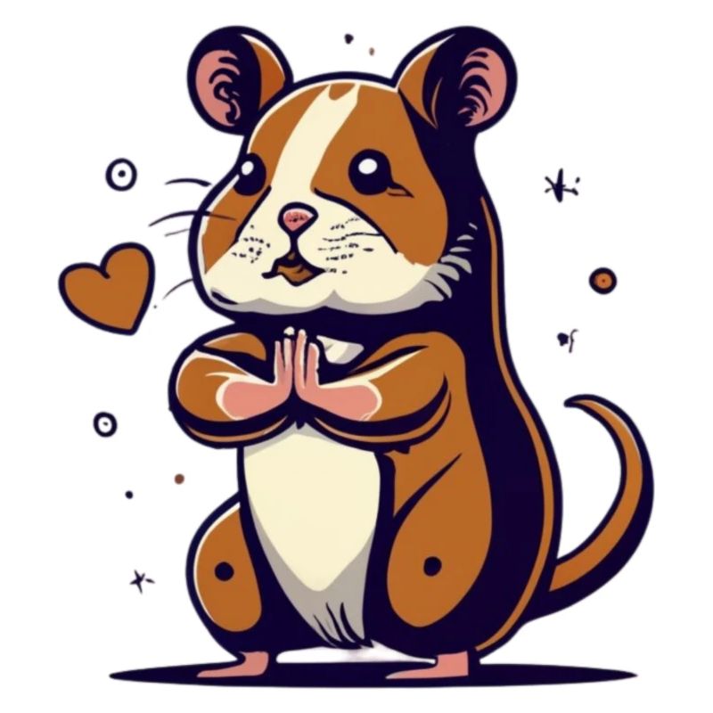 A hamster doing yoga