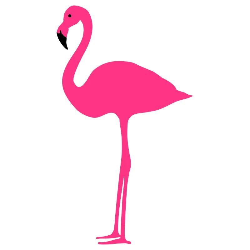 Flamingo 2 colors