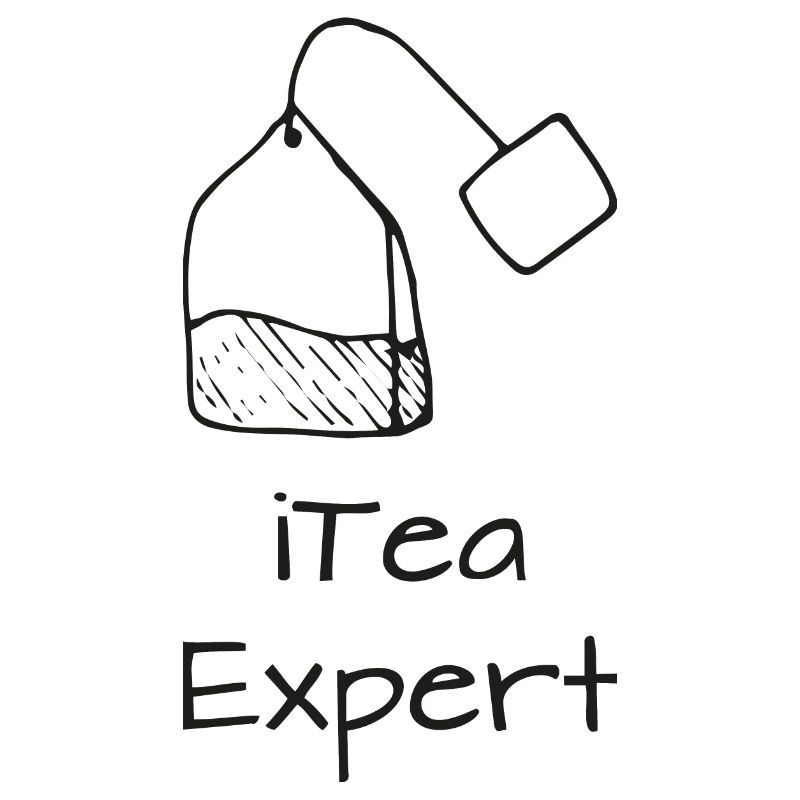 Itea expert Programming Informatic Gift
