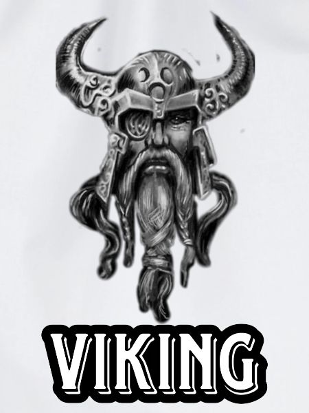Wikinger mit Bart und Helm