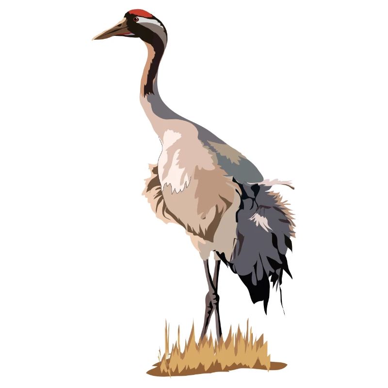 Kranich