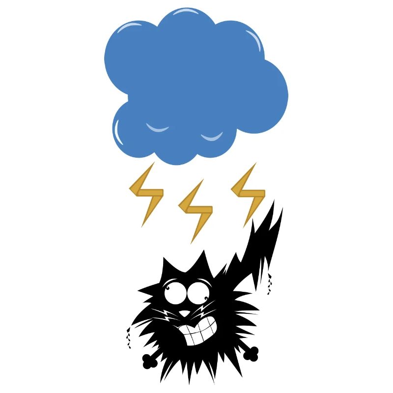 CAT STRUCK BY LIGHTNING