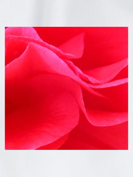 Red Flower